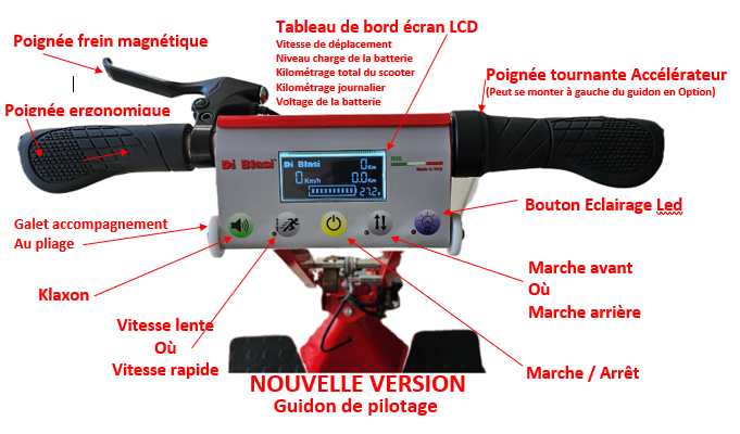 Tableau de bord LCD du Di Blasi R30