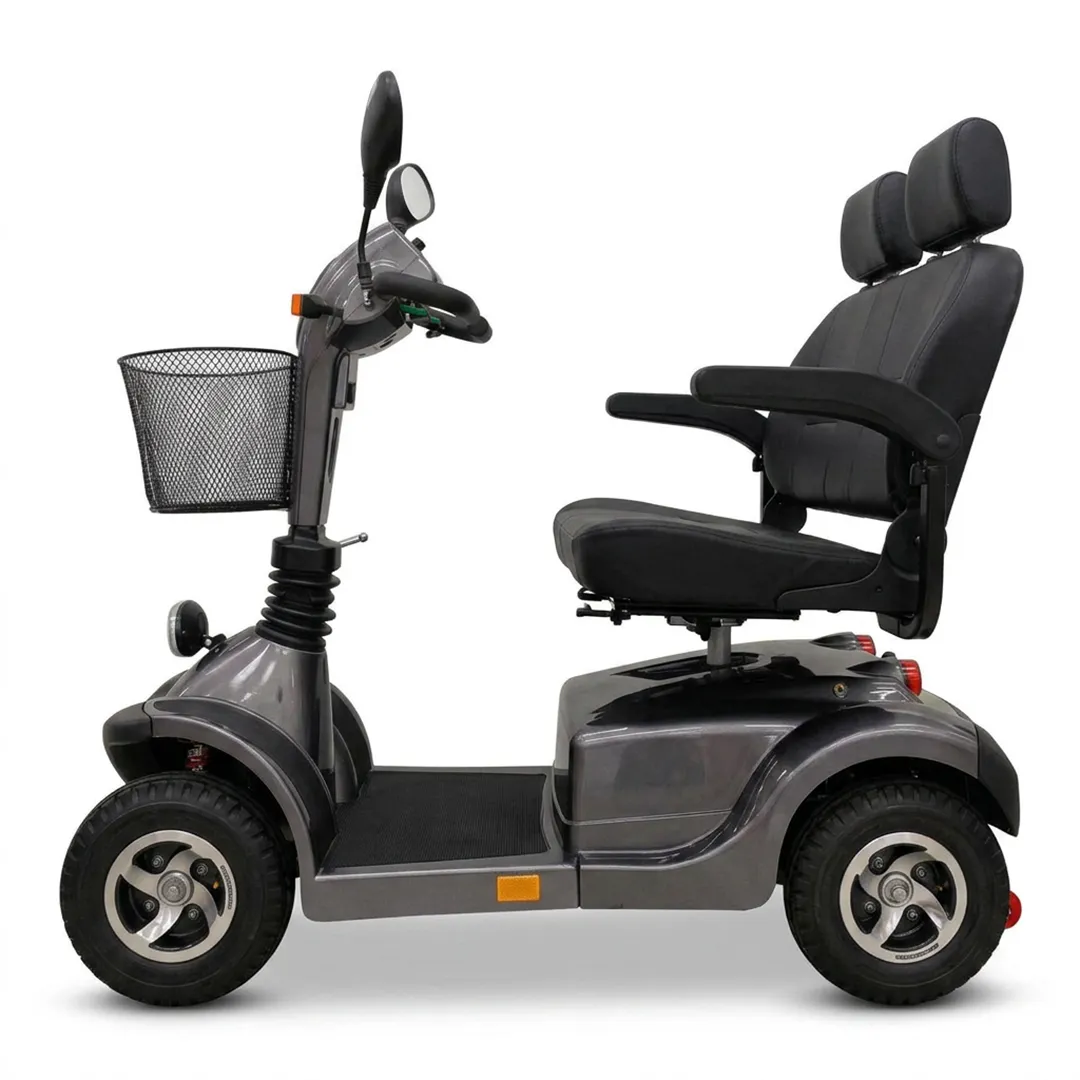 Ebro Biplaza gris, profil